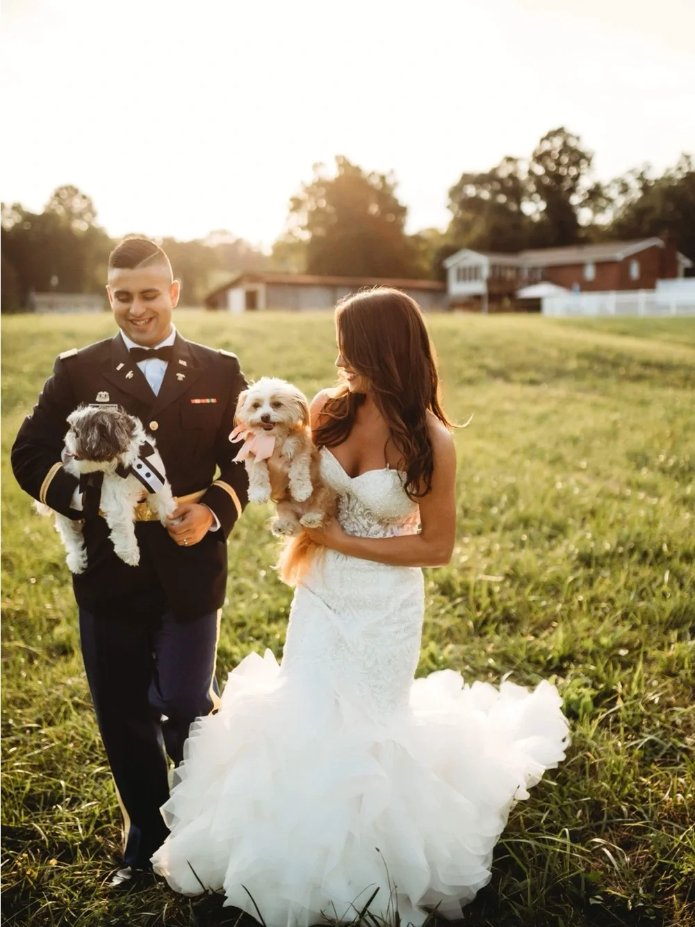 Formal Black and White Dog Tuxedo Vest Harness